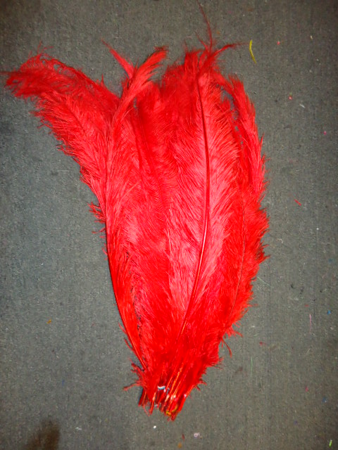 Ostrich Feather Plume 18-24 INCH RED